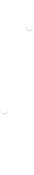 timeline