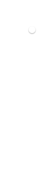 timeline